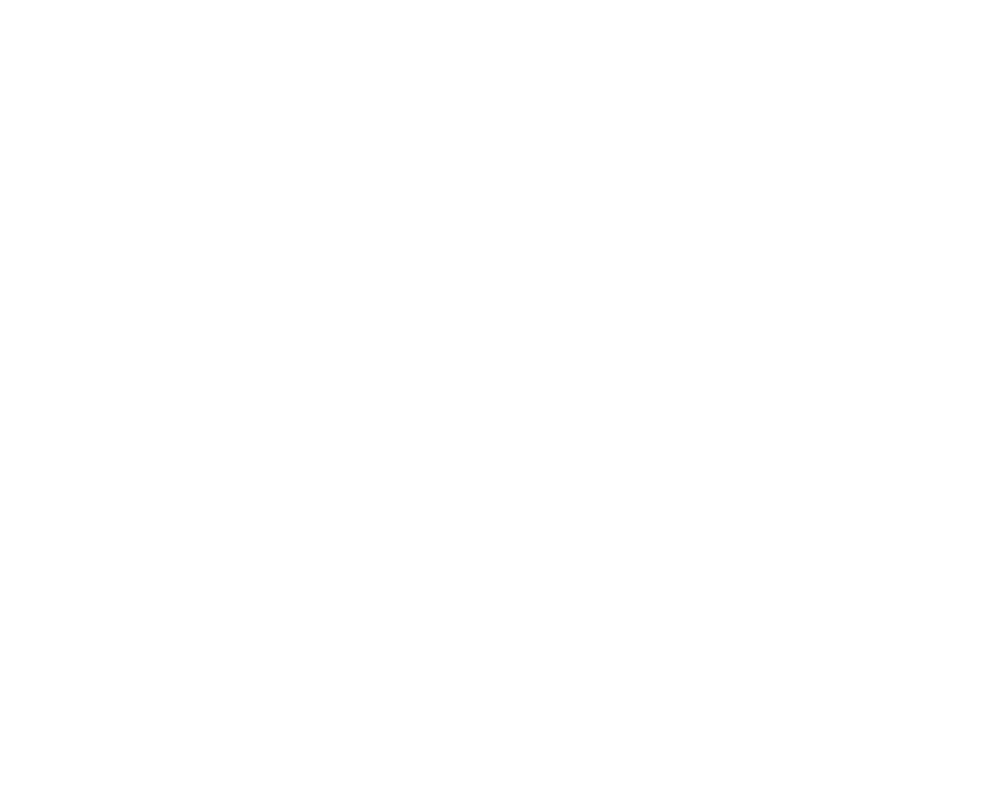 AmadaFX